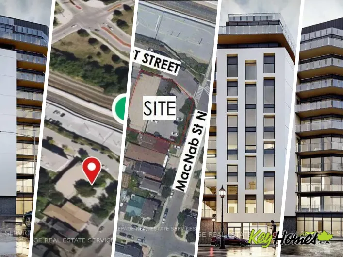 41 STUART STREET, Hamilton