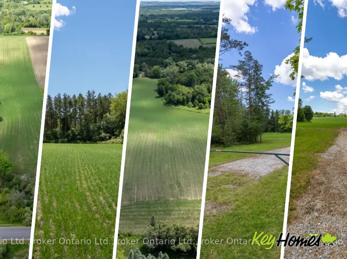 4206 MIDDLE ROAD, Clarington