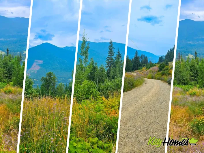 Other for sale: 421 MOUNTAIN VIEW Drive, Balfour