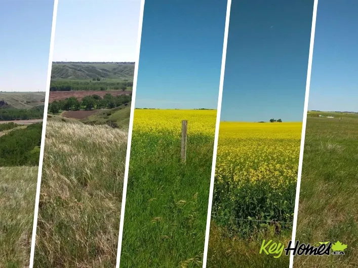 4;22;9;14; SW,SE, Rural Lethbridge County