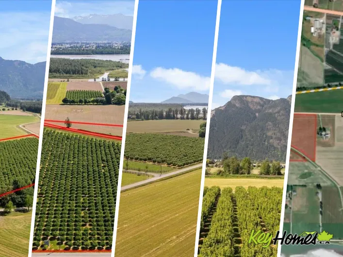 4602 HUNT ROAD|Agassiz, Agassiz