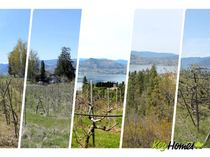 Other for sale: 4789 Naramata Road, Naramata