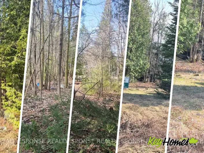 48 WALDWEG, Scugog