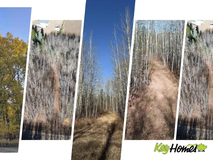 No Building for sale: #49 50322 RGE ROAD 10, Rural Parkland County