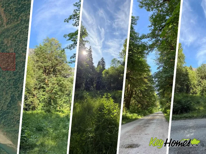 5 UPPER PITT RIVER ROAD, Pitt Meadows
