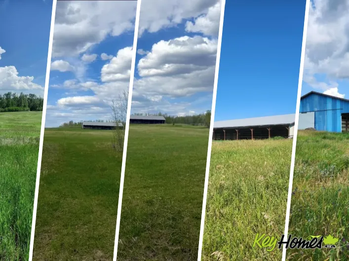 No Building for sale: 50206 Range Road 215, Rural Leduc County