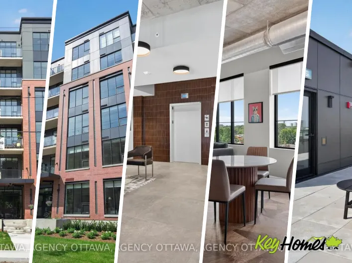 Apartment for rent: 506 - 56 BAYSWATER AVENUE, Ottawa