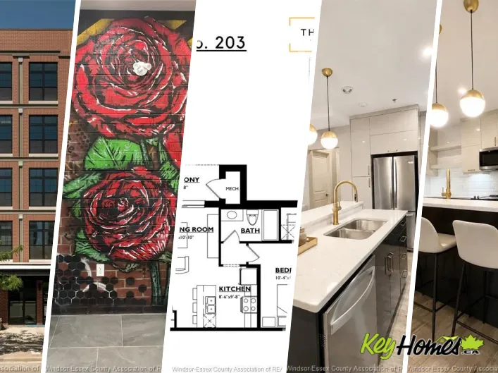 Apartment for rent: 531 PELISSIER STREET Unit# 203, Windsor