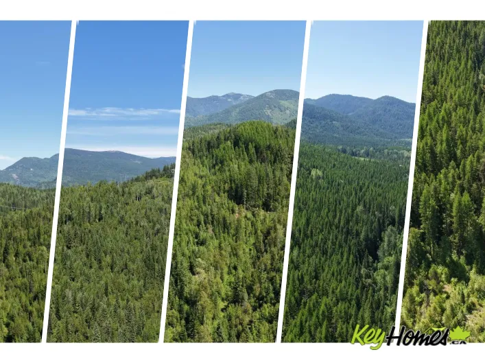 Other for sale: 549 ROSEBUD LAKE Road, Salmo