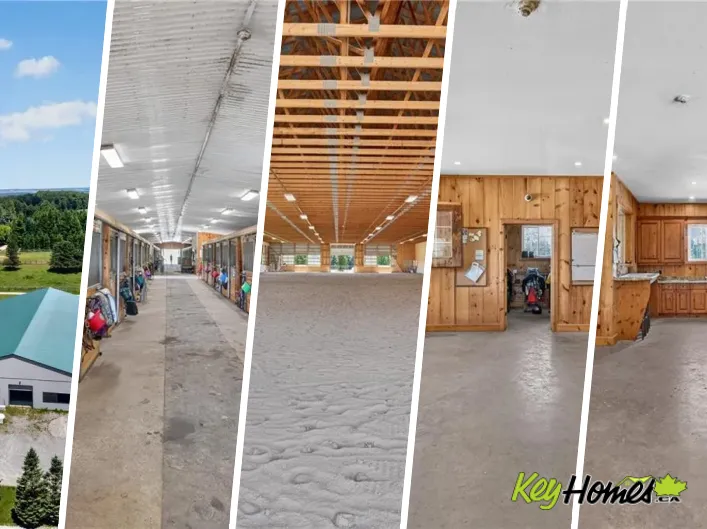 564 8TH CONCESSION Road E, Carlisle