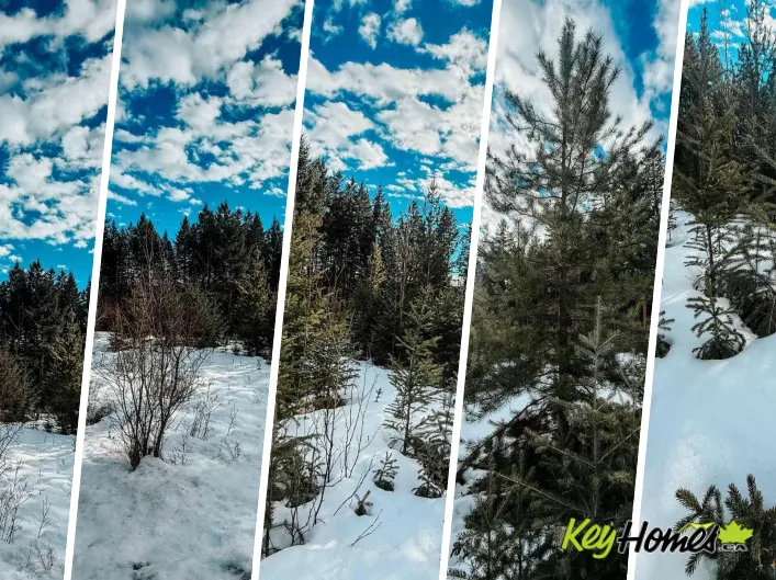 5724 TIMOTHY LAKE ROAD, Lac La Hache