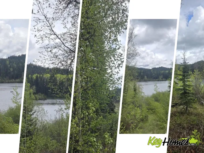5858 MAHOOD LAKE ROAD, Lone Butte