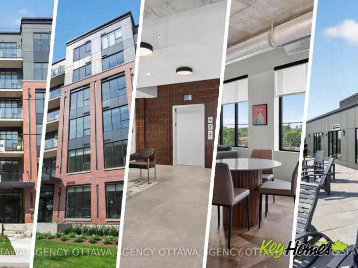 Apartment for rent: 603 - 56 BAYSWATER AVENUE, Ottawa