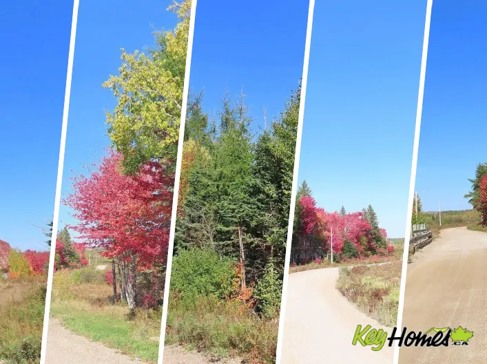 62 Acres West Side Road, West Side Country Harbour