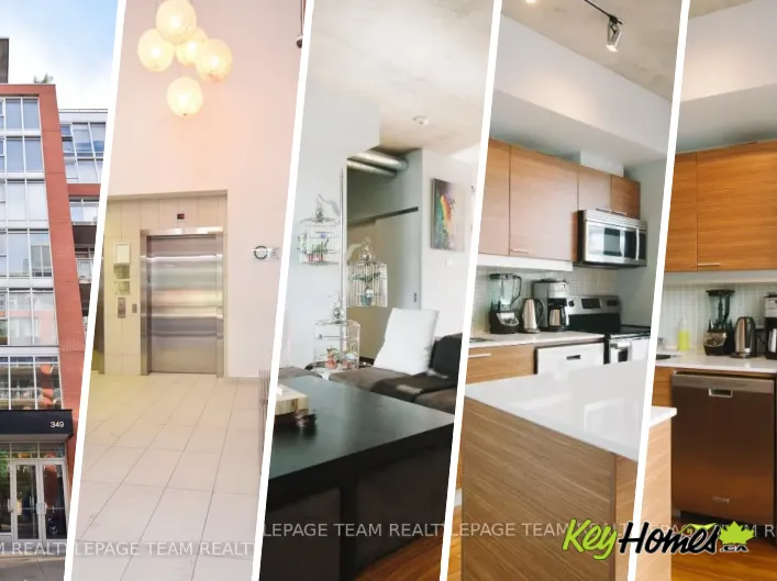 Apartment for rent: 627 - 349 MCLEOD STREET, Ottawa