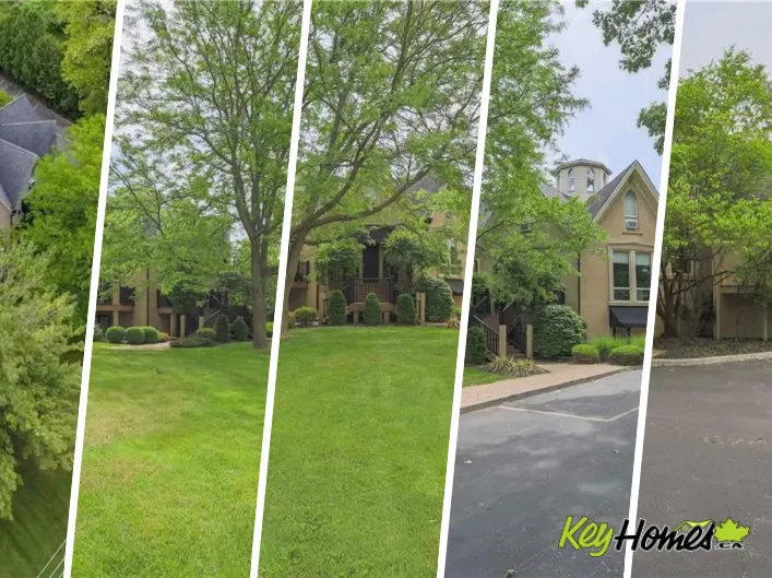 Residential Commercial Mix for sale: 646 MOUNT PLEASANT Road, Mount Pleasant