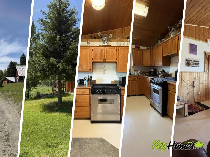House for sale: 6481 BLACK CREEK ROAD, Horsefly