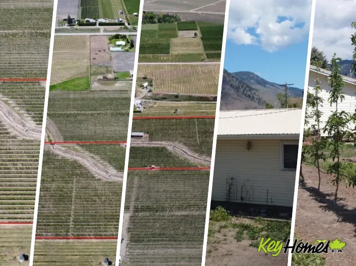 House for sale: 696 Lowe Drive, Cawston