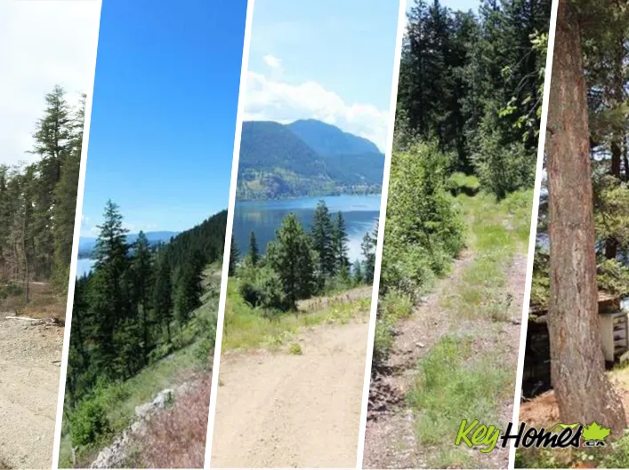Other for sale: 7080 Little Shuswap Lake, Chase