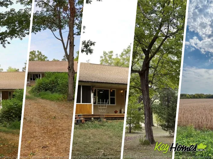 House for sale: 761 East West ROAD, Pelee Island