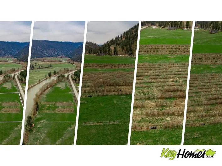Other for sale: 786 Highway 3, Princeton