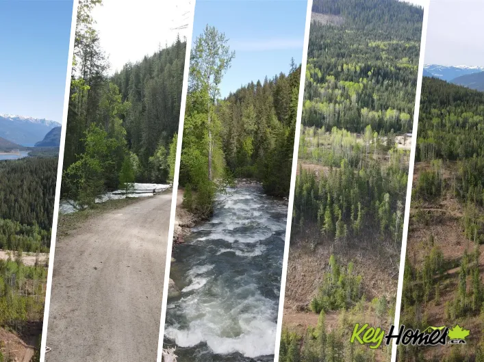 Other for sale: 7928 Lemon Creek Road, Slocan