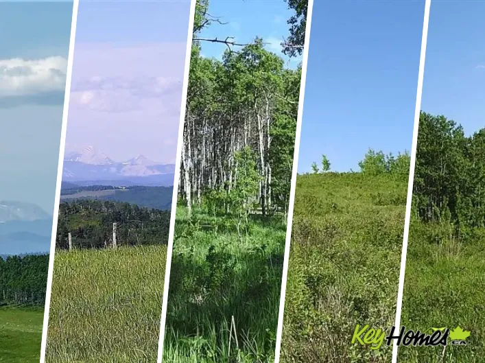 79.41 Acres SE-13-22-3W5, Rural Foothills County