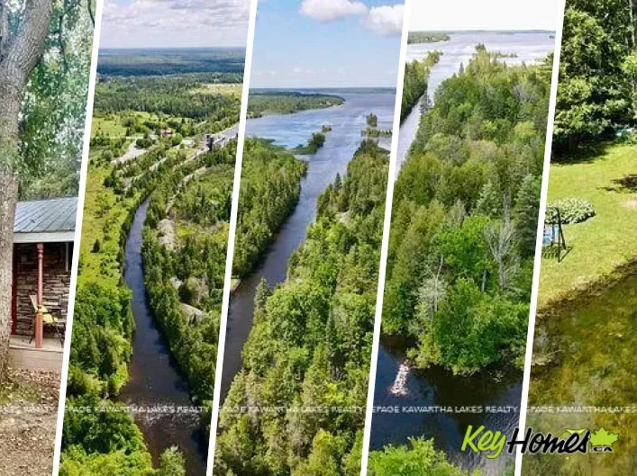 House for sale: 81 MCGUIRE BEACH ROAD, Kawartha Lakes