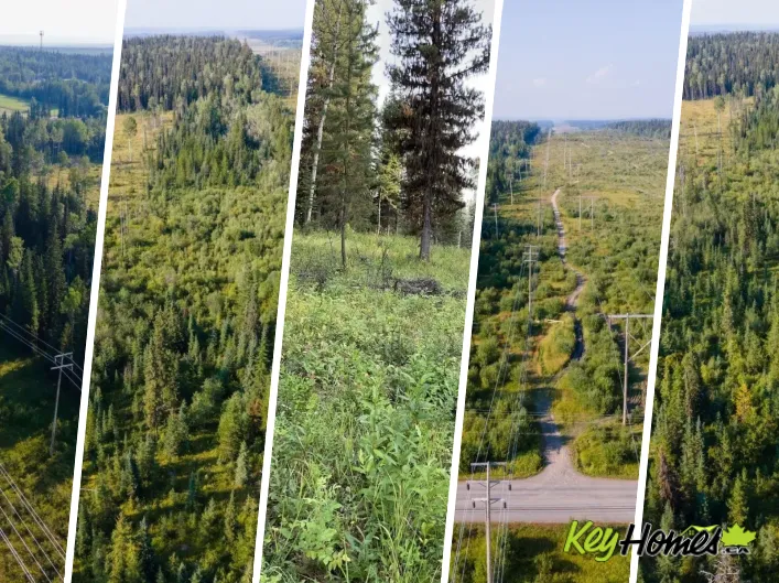 8120 GISCOME ROAD, Prince George
