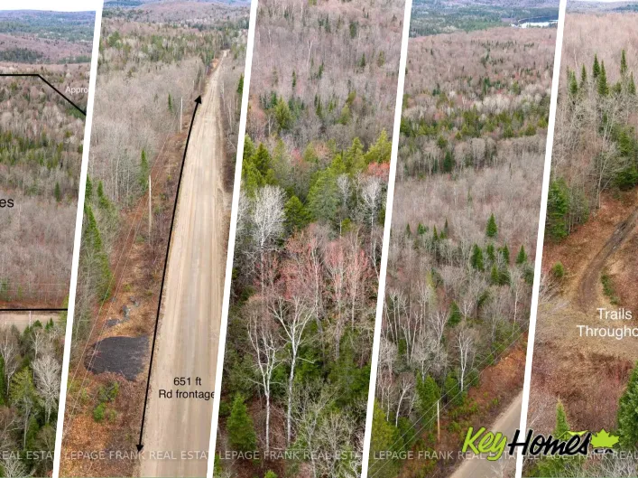 841 NORTH MCKENZIE LAKE ROAD, South Algonquin