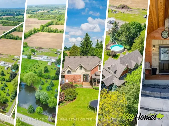 875 SAFARI Road, Hamilton