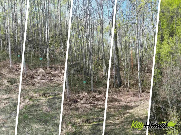 No Building for sale: #9&10 59316 RR54, Rural Barrhead County
