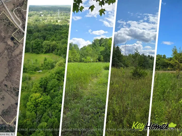 Unknown for sale: 9414 FIRST LINE NASSAGAWEYA W, Milton