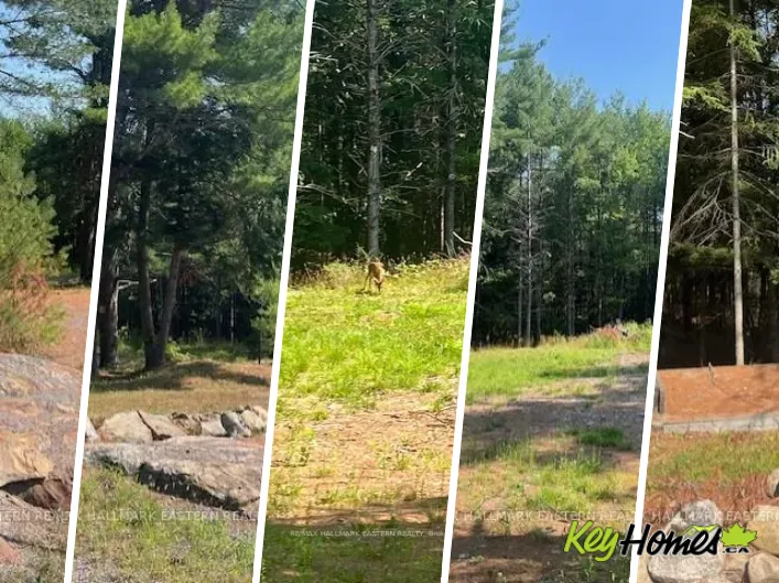 942 BALMER ROAD, North Kawartha