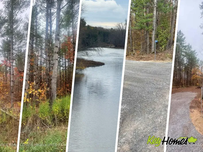 945 SHANICK ROAD, Marmora and Lake