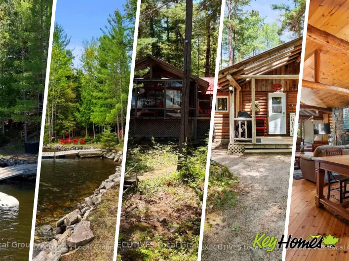 House for sale: 98 GREY ROCK LANE, Bonfield