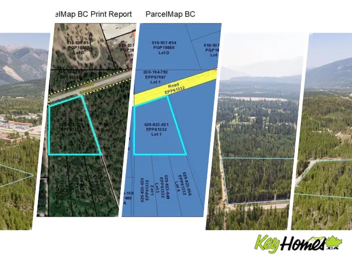 990 CRANBERRY LAKE ROAD, Valemount