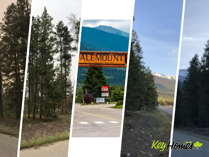 995 S CRANBERRY LAKE ROAD, Valemount