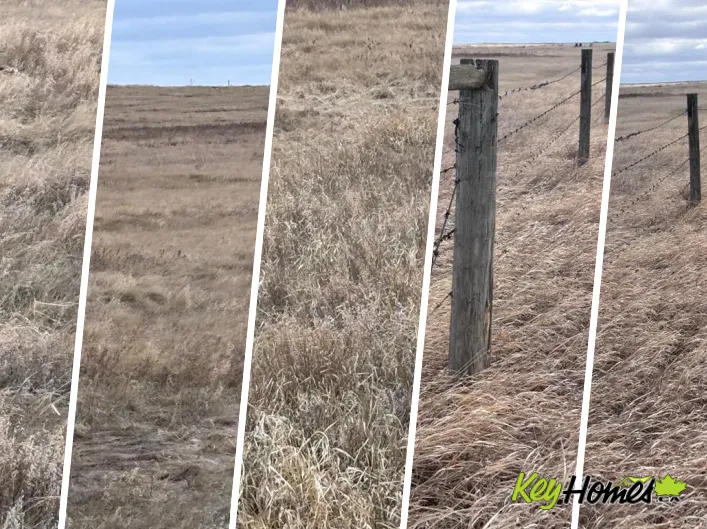 along Hwy 12, Rural Paintearth No. 18, County of
