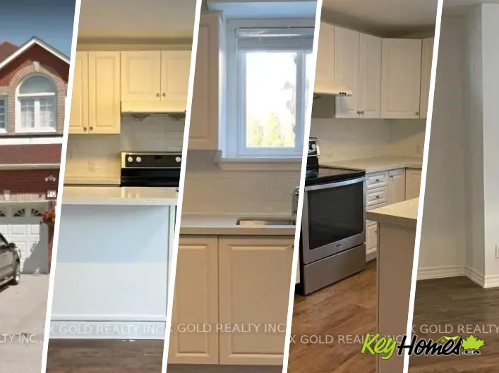 House for rent: BSMT - 10 TRACEY LYNNE COURT, Markham