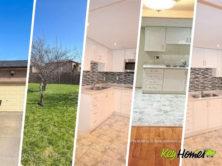 House for rent: BSMT. - 260 GREEN ROAD, Hamilton