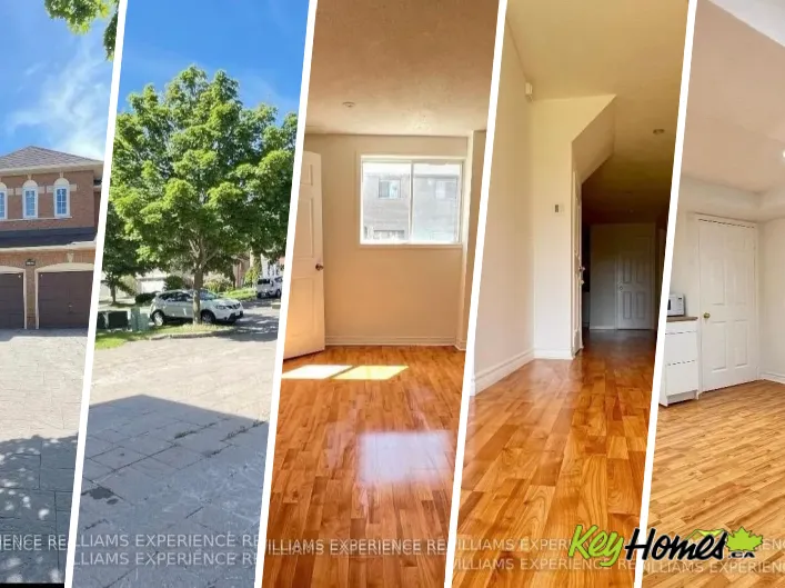 House for rent: BSMT - 44 ALPINE CRESCENT, Richmond Hill