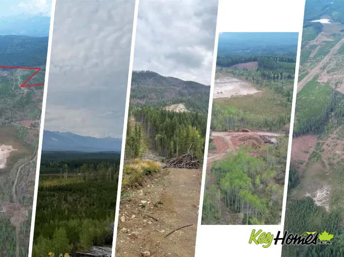 Other for sale: DL 10766 Giant Min Road, Spillimacheen