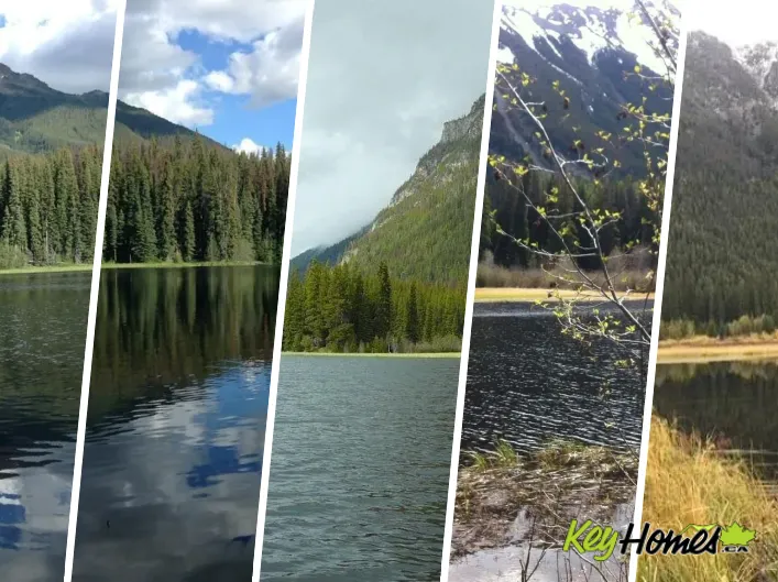 Other for sale: DL 5374 Mead Lake, Bralorne