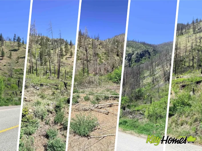 Other for sale: Green Mountain Road Lot# 530S, Keremeos