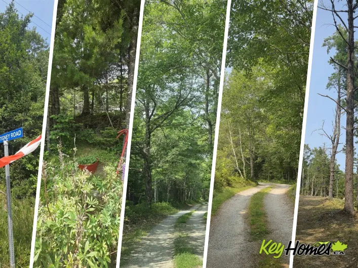 Highway 103, Sable River