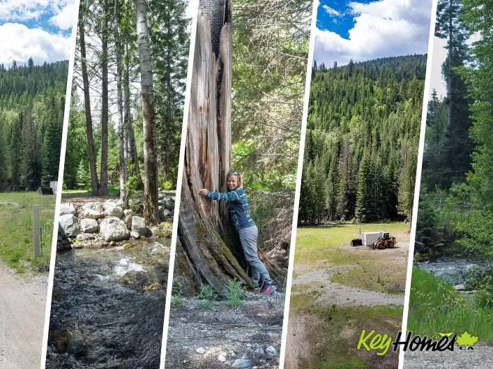 Other for sale: HIGHWAY 22 Highway Lot# 3, Rossland