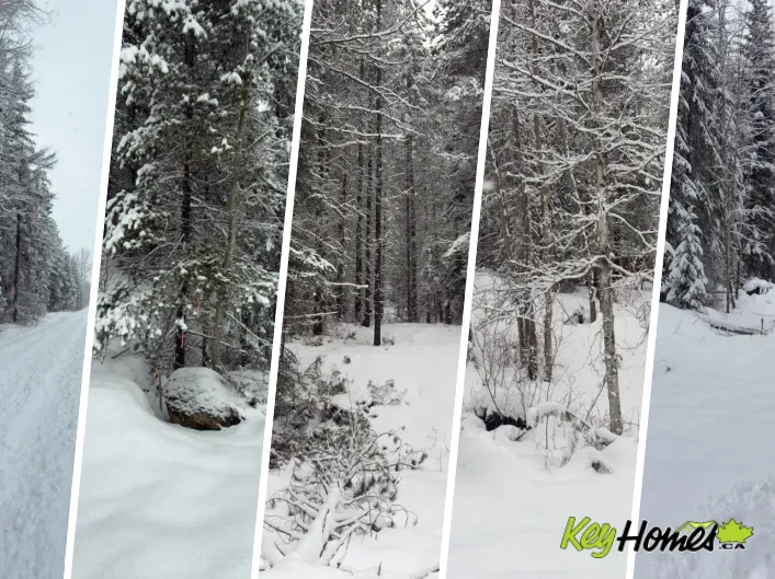 Other for sale: KM 53 Christian Valley Road Lot# 3, Westbridge