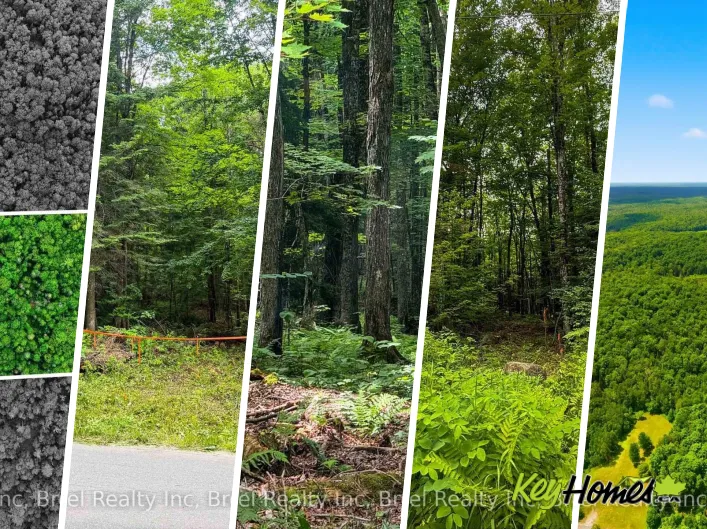 LOT 1 BIRD LAKE ROAD, Bracebridge