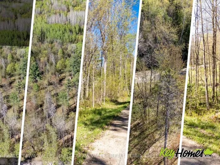 LOT 1 BROUSE ROAD, Laurentian Hills